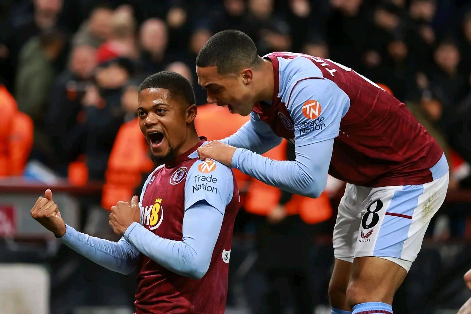 栏或活动专 栏或活动专