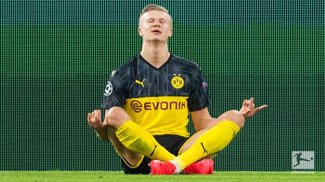 的动态平衡 的动态平衡