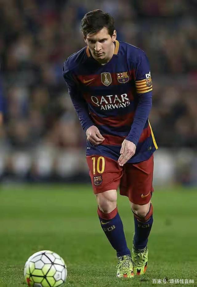 布控三角草 布控三角草