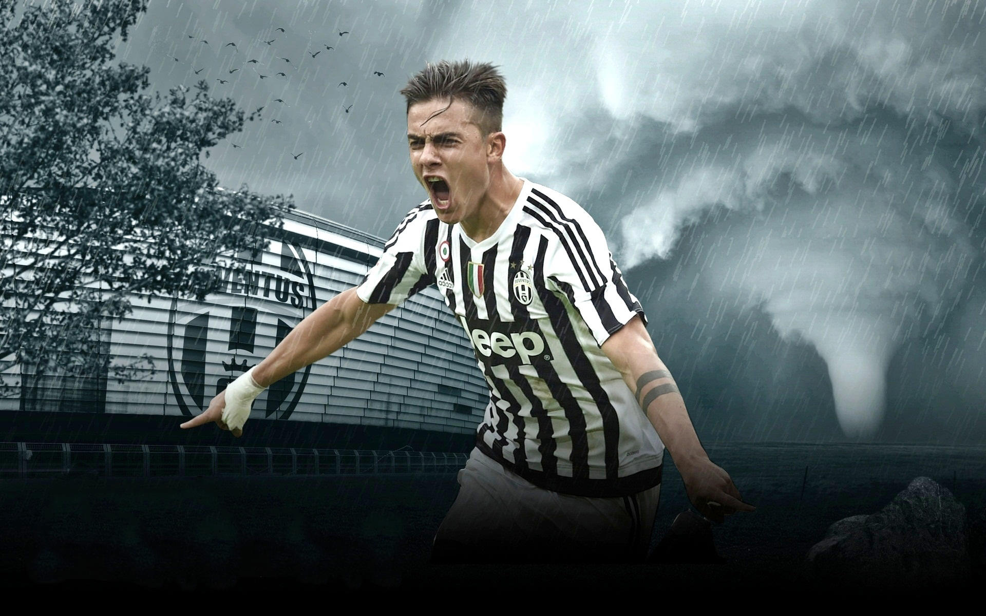 河道资源 河道资源